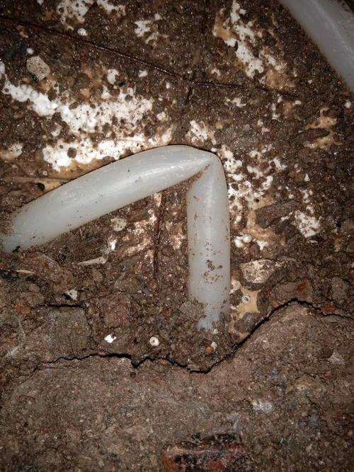 靖州堵点精准查找